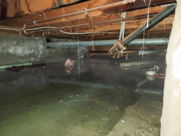  , MD Water damage restoration Pros