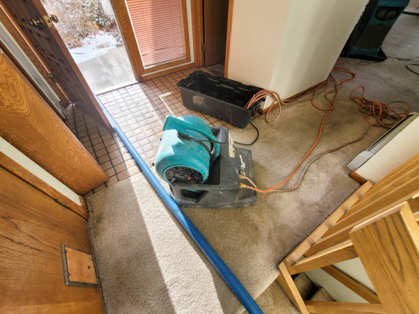 Best Water damage cleanup near me  in , MD