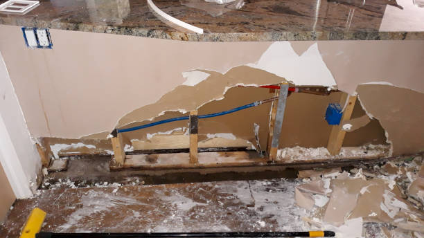 Best Sewage cleanup and water damage restoration  in , MD