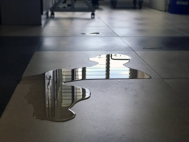 Best Professional water damage repair  in , MD