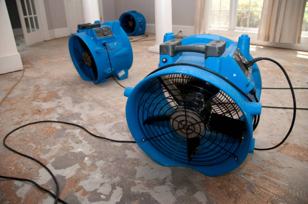  , MD Water damage restoration Pros
