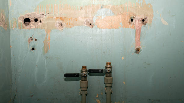 Best Ceiling water damage repair  in , MD