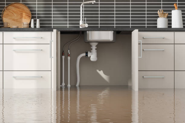 Best 24-hour water damage restoration  in , MD