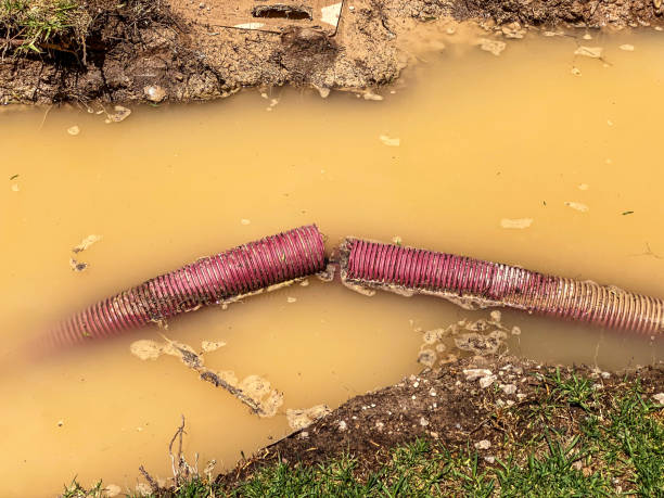 Best Water damage contractors near me  in , MD